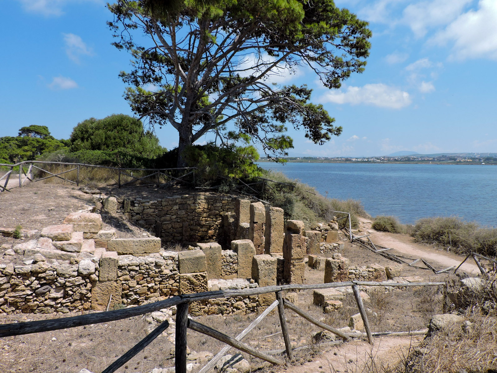 alberi svettanti e i resti fenici sull'isola di Mozia: la storia e la natura in Sicilia
