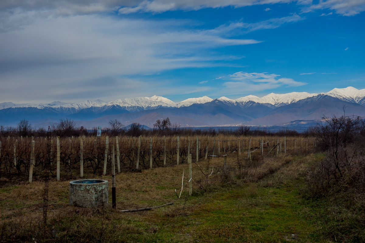 vitigni, montagne e campagna georgiana nella regione del Kakheti