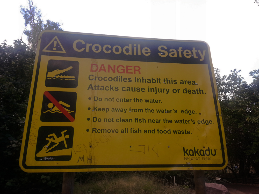 In Australia state attenti ai coccodrilli!