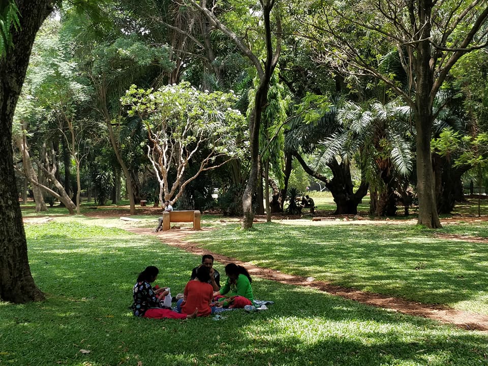 Cubbon Park:  relax domenicale a Bangalore