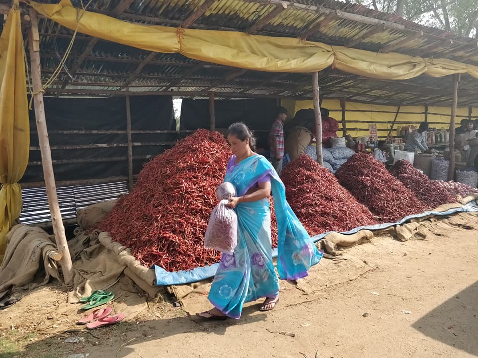 tonnellate di peperoncini nel Coorg in india